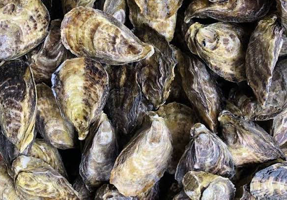 Entrada sin título 28674