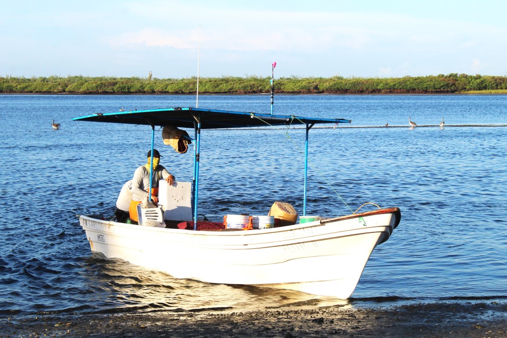 TRABAJA GOBIERNO DE BCS EN CERTIFICACIÓN PARA EXPORTACIÓN DE PRODUCTOS PESQUEROS