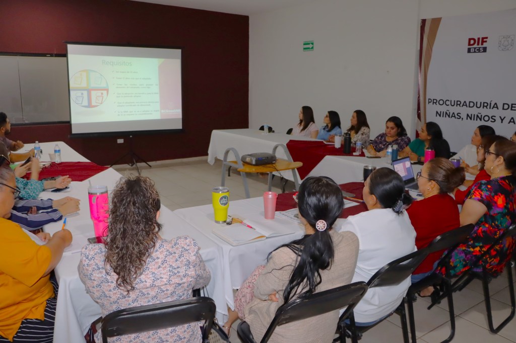 CAPACITA SEDIF A PROFESIONISTAS EN MATERIA DE&nbsp;ADOPCIÓN