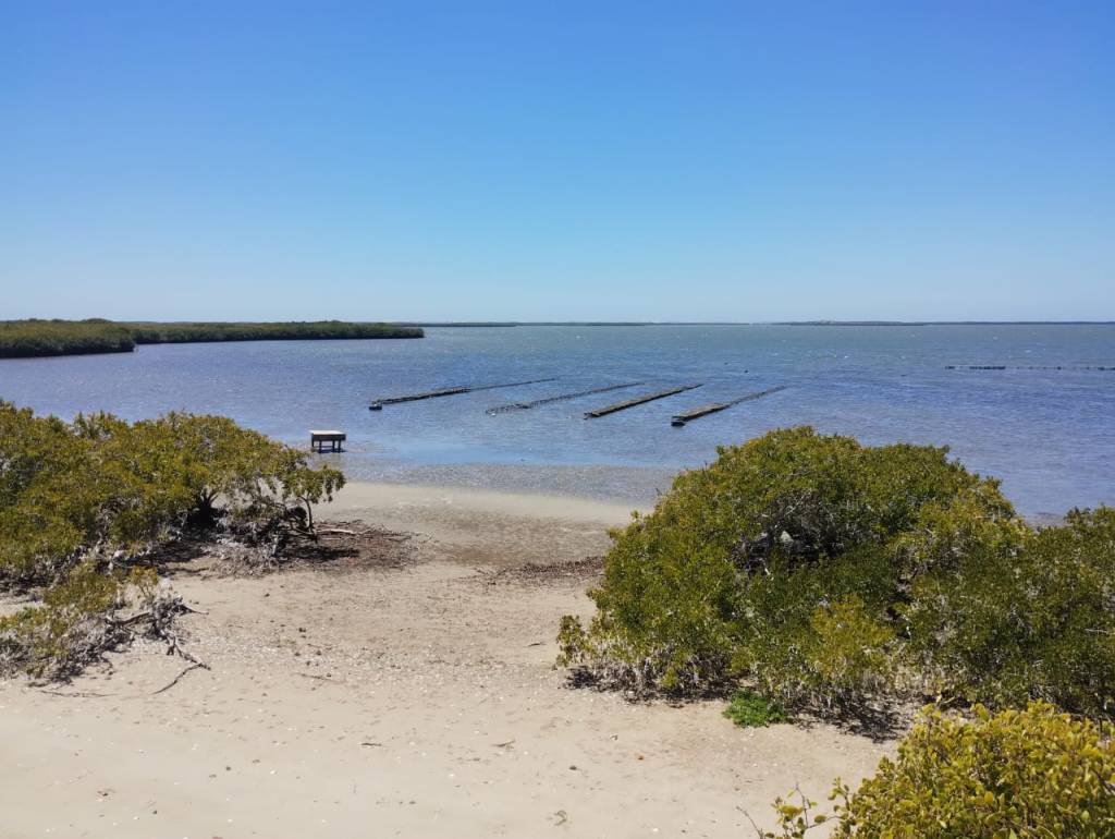 RECORRE SEPADA Y CESA CAMPOS ACUÍCOLAS DEL MUNICIPIO DE&nbsp;#COMONDÚ