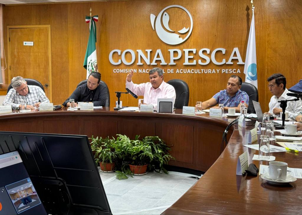 TRABAJA GOBIERNO Y CONAPESCA EN ESTRATEGIA PARA CONSERVACIÓN DE LA TORTUGA&nbsp;AMARILLA