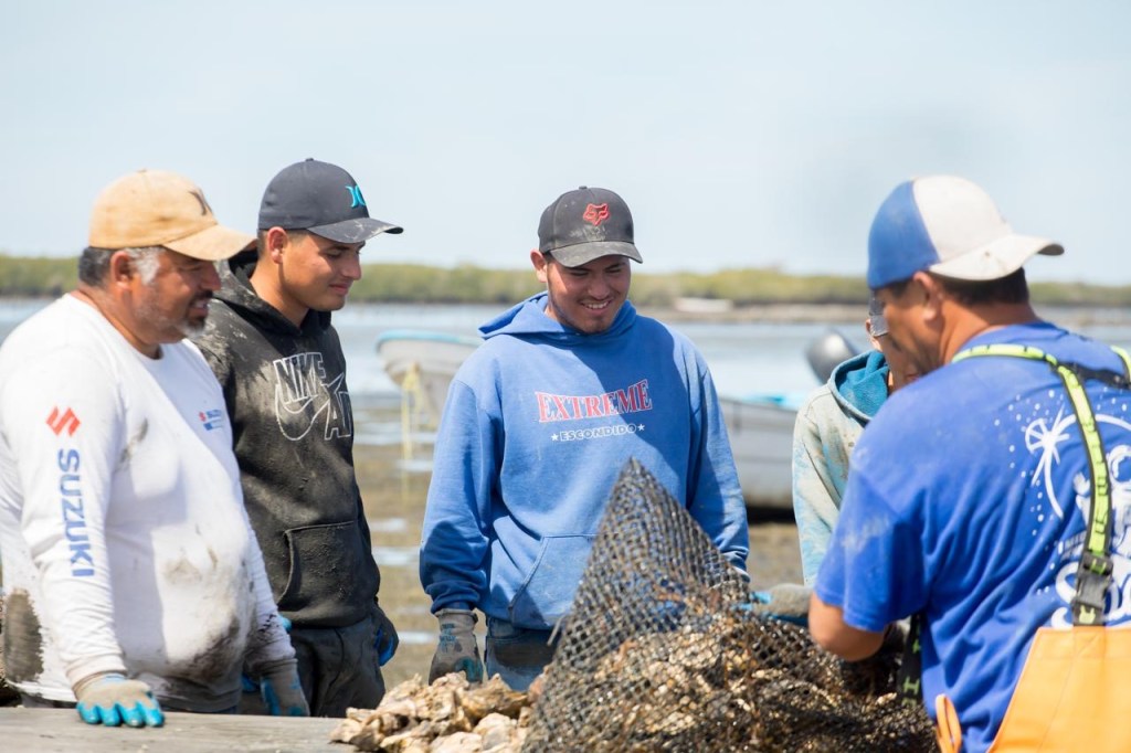 BCS ENTRE LOS CUATRO ESTADOS DEL PAÍS CON MAYOR PRODUCCIÓN PESQUERA