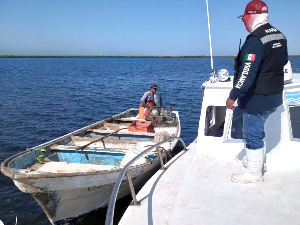 INSTALA FONMAR VIGILANCIA PARA PREVENIR REDES DE PESCA FANTASMA EN COMONDÚ