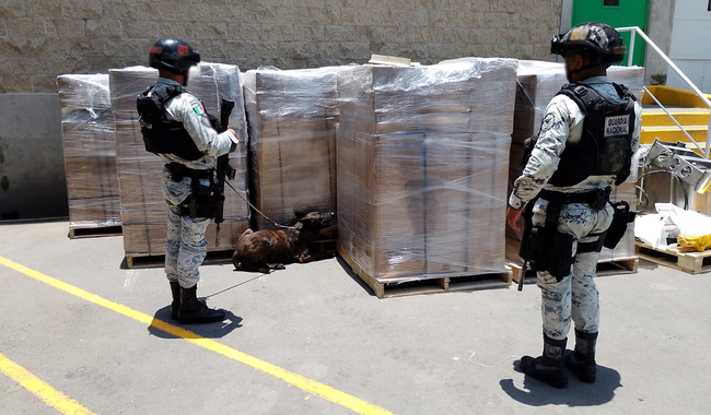 En Jalisco, Guardia Nacional asegura 639 paquetes de posible marihuana y metanfetamina ocultos entre losas de cantera