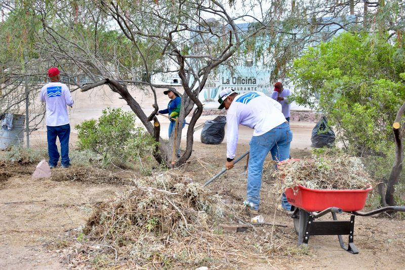 REALIZA FONMAR JORNADA DE LIMPIEZA EN PLAYA EL&nbsp;COMITÁN