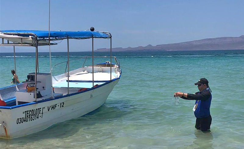 CONFIRMA COEPRIS QUE PLAYA EL TECOLOTE ESTÁ EN CONDICIONES PARA ACTIVIDADES&nbsp;RECREATIVAS