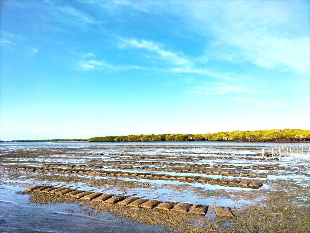 DESTINA EL GOBIERNO DE BCS 28 MDP PARA EL SECTOR ACUÍCOLA EN&nbsp;2024