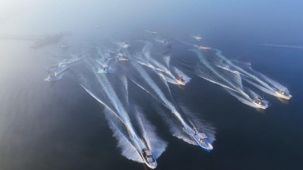 DESTACA EL MUNICIPIO DE LOS CABOS EN PERMISOS DE PESCA&nbsp;DEPORTIVA