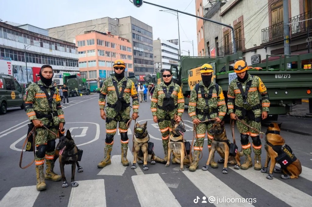 Gobierno de México prioriza acciones estratégicas en protección civil durante&nbsp;2024