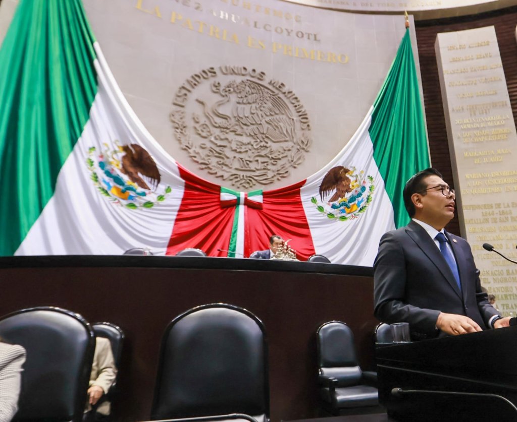 LA CNDH NO HA ESTADO A LA ALTURA DE LOS DESAFÍOS QUE ENFRENTA MEXICO: NÉSTOR&nbsp;CAMARILLO