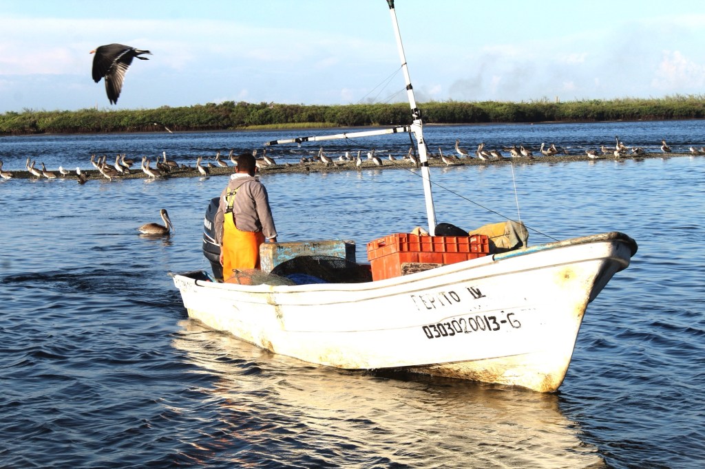 REPORTA 80 POR CIENTO DE AVANCE EL PROGRAMA DE ORDENAMIENTO PESQUERO Y ACUÍCOLA: SEPADA