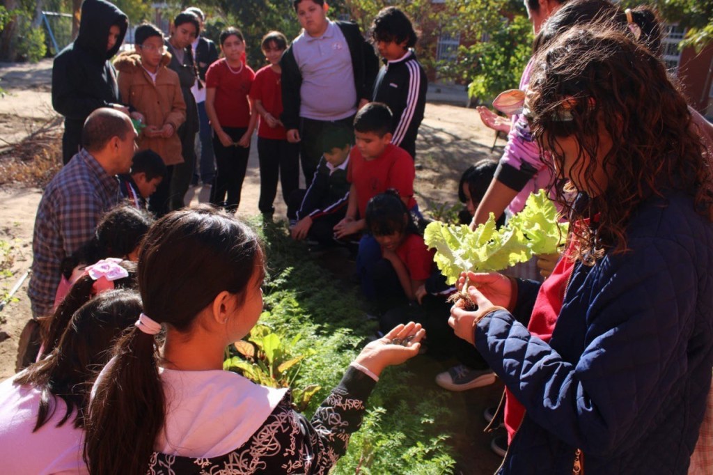 ATIENDEN A MÁS DE 90 PERSONAS CON DISCAPACIDAD EN MÓDULO DE “JÓVENES CONSTRUYENDO EL FUTURO”