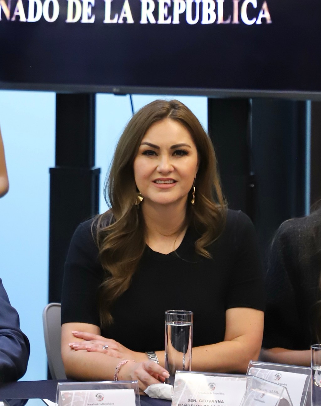 Senadoras del Partido del Trabajo proponen garantizar salud auditiva de los mexicanos