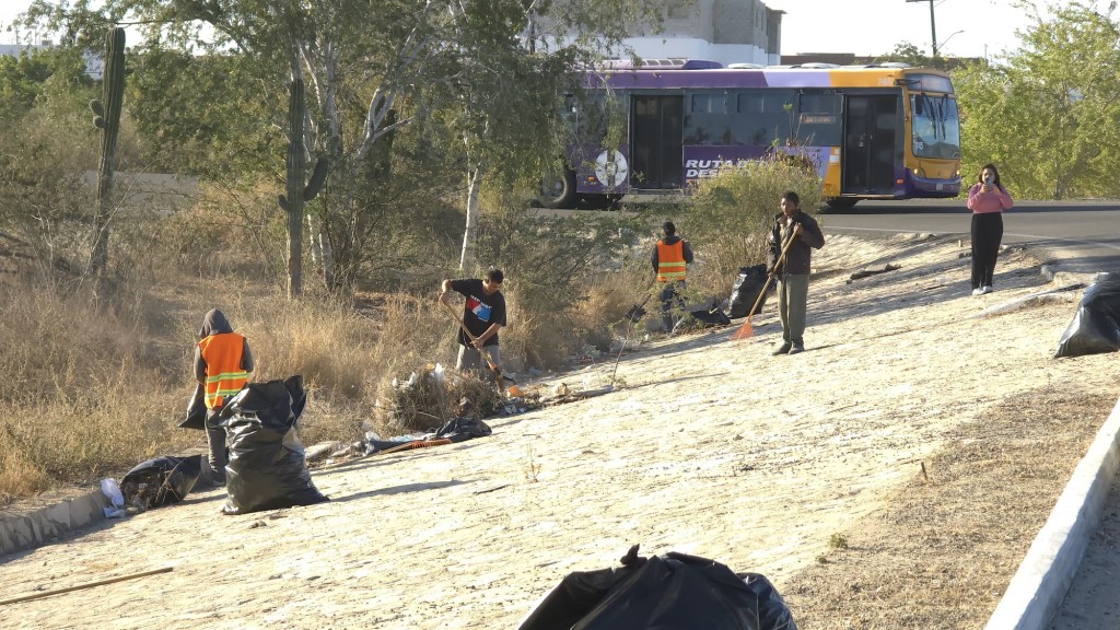 Refuerza Ayuntamiento de Los Cabos jornadas sabatinas de limpieza en puntos estratégicos