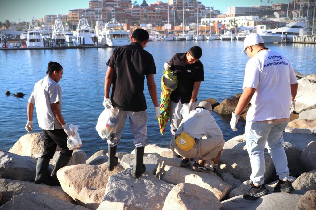 Realiza Zofemat jornada de limpieza en playa El Médano en Cabo San Lucas