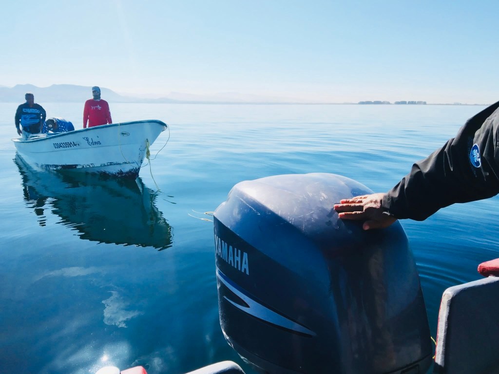 Realizarán un estudio de la pesca deportiva en los cinco municipios de BCS