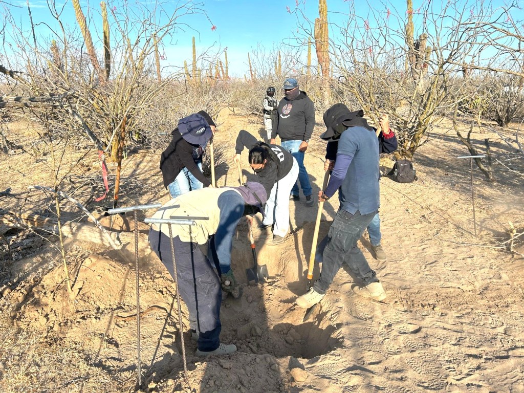 Con trabajo coordinado entre los tres órdenes de gobierno, colectivo y familiares, localizan inhumaciones clandestinas en La&nbsp;Paz
