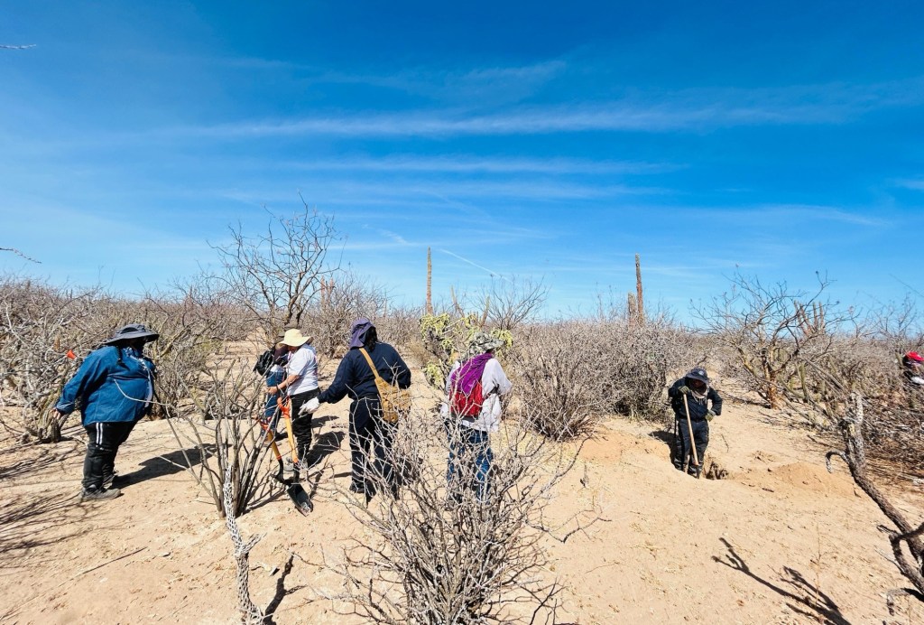 Colectivos de búsqueda, familiares y autoridades mantienen trabajos en tramo carretero a San Juan de la Costa