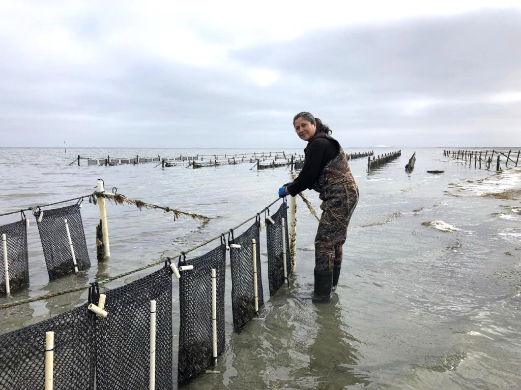 Convoca SEPADA a inscribirse en el seguro de vida pesquero y acuícola
