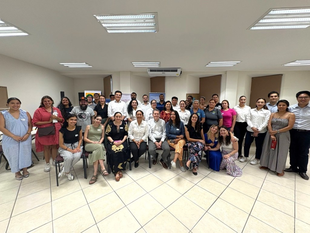 Imparten taller&nbsp;sobre la transición energética en Baja California&nbsp;Sur