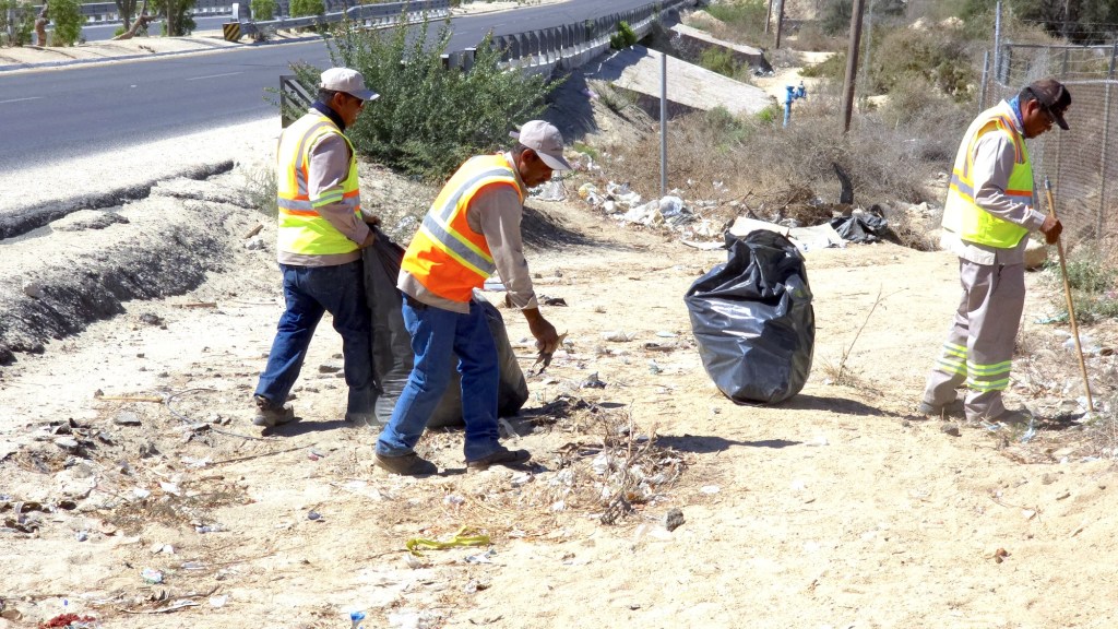 Refuerza Servicios Públicos de Los Caboslimpieza en laterales de la carretera&nbsp;Transpeninsular