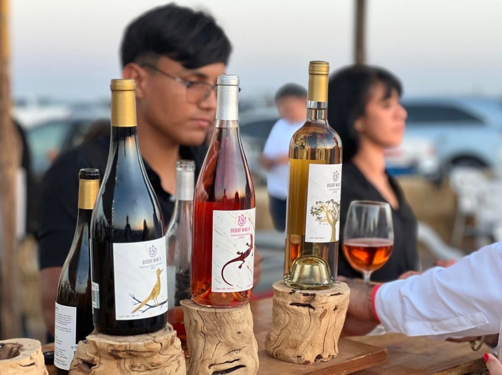 Realizan&nbsp;con éxito la tercera edición de la Vendimia 2025 en&nbsp;Comondú