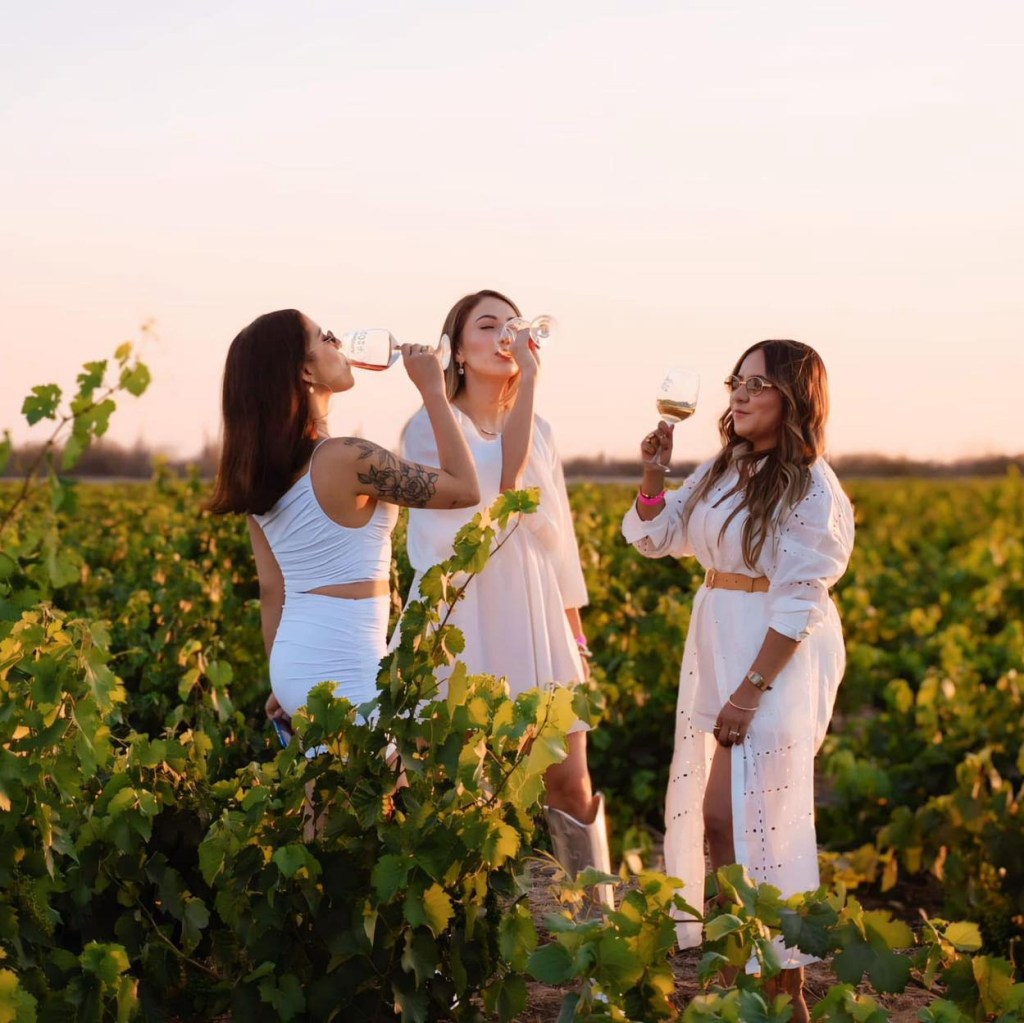 Este sábado 21 de junio realizarán “La Vendimia 2025”, en&nbsp;Comondú