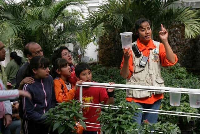 Celebra Mariposario de Chapultepec 20 años, con actividades gratuitas para toda la&nbsp;familia
