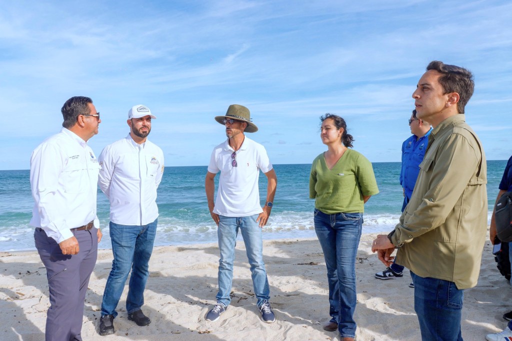 Inicia análisis de viabilidad técnica para proyecto de reforestación en Estero de San José del&nbsp;Cabo