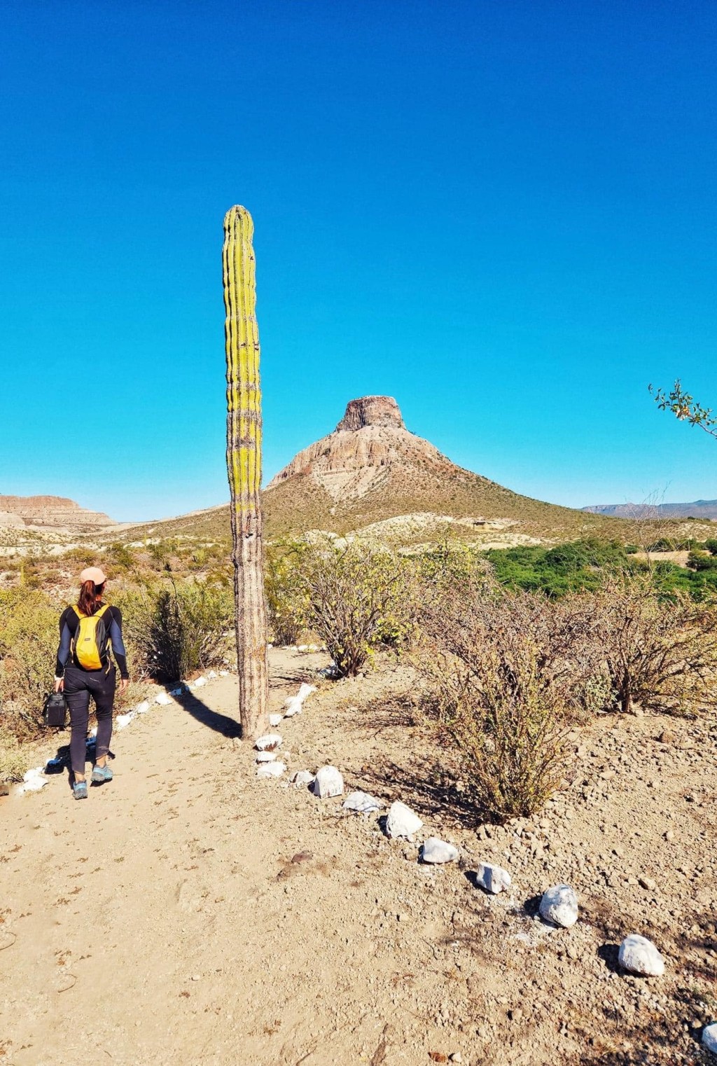 SETUE BCS invita a registrar proyectos turísticos comunitarios en guía&nbsp;nacional