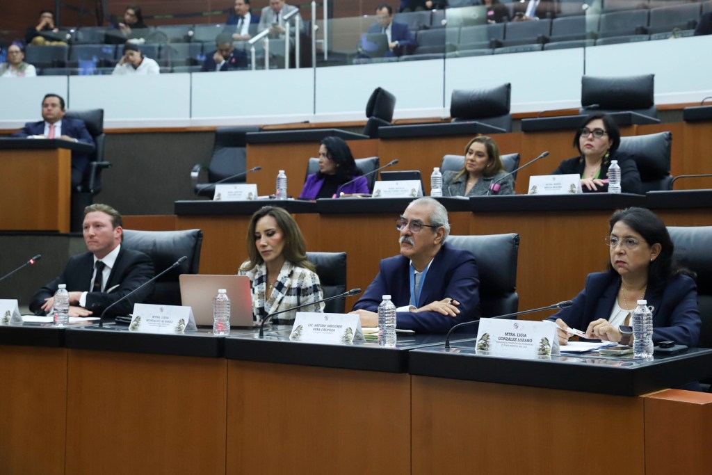 Concluyen en el Senado de la República las Audiencias Públicas sobre la reforma a la Ley de&nbsp;Amparo