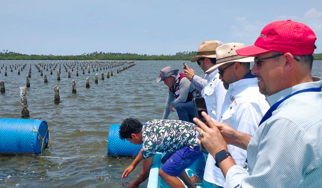 Entrada sin título 36817