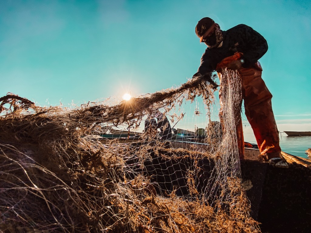 Más de 247 mil personas se emplean en la pesca y la acuacultura para contribuir a la soberanía alimentaria:&nbsp;Conapesca