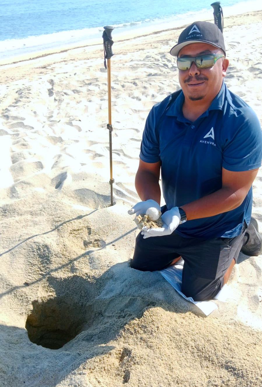 Protegen segundo nido de tortuga Laúd de la temporada en Los&nbsp;Cabos