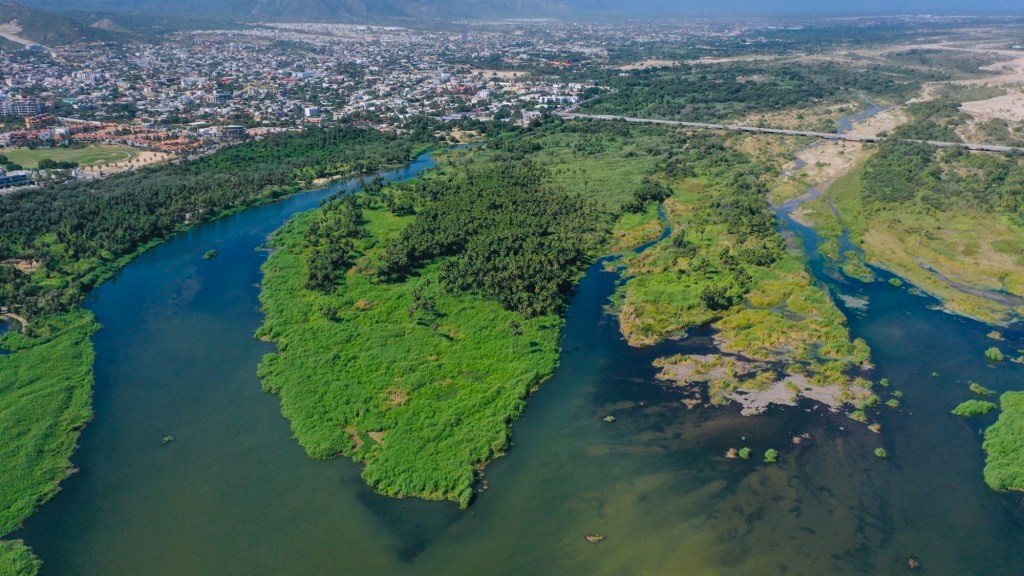 Reporta Los Cabos resultados clave en sostenibilidad ambiental y bienestar animal
