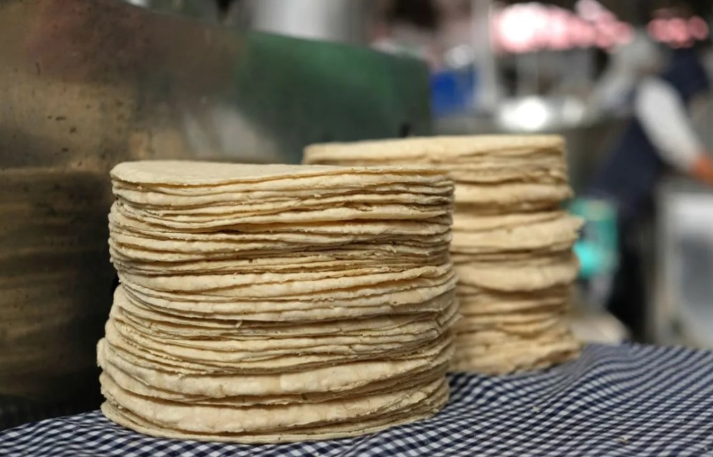 Nuevo estándar de competencia para garantizar la calidad e inocuidad de la tortilla&nbsp;mexicana