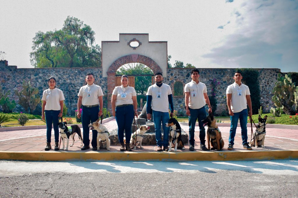 Agricultura suma seis binomios caninos para la vigilancia contra el gusano barrenador del ganado en&nbsp;Veracruz