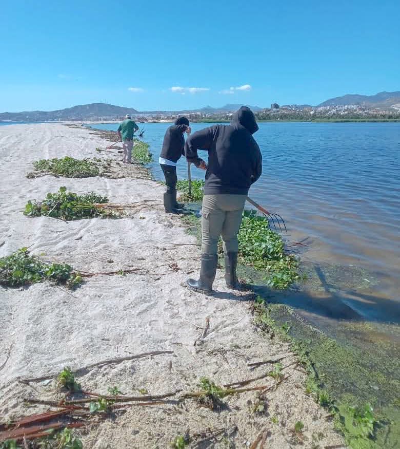 Acciones para la conservación del Estero josefino no se detienen; realiza Ecología una jornada más de&nbsp;limpieza