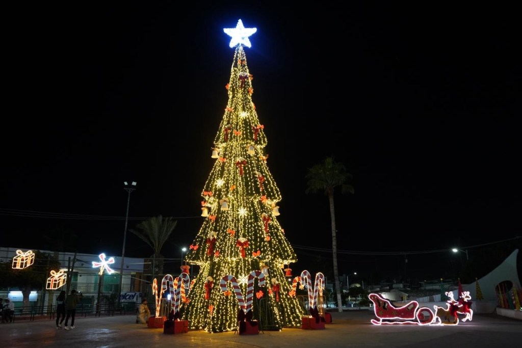 Viven familias&nbsp;cabeñas&nbsp;la magia del Encendido del Árbol Navideño en San José del Cabo y delegaciones&nbsp;municipales