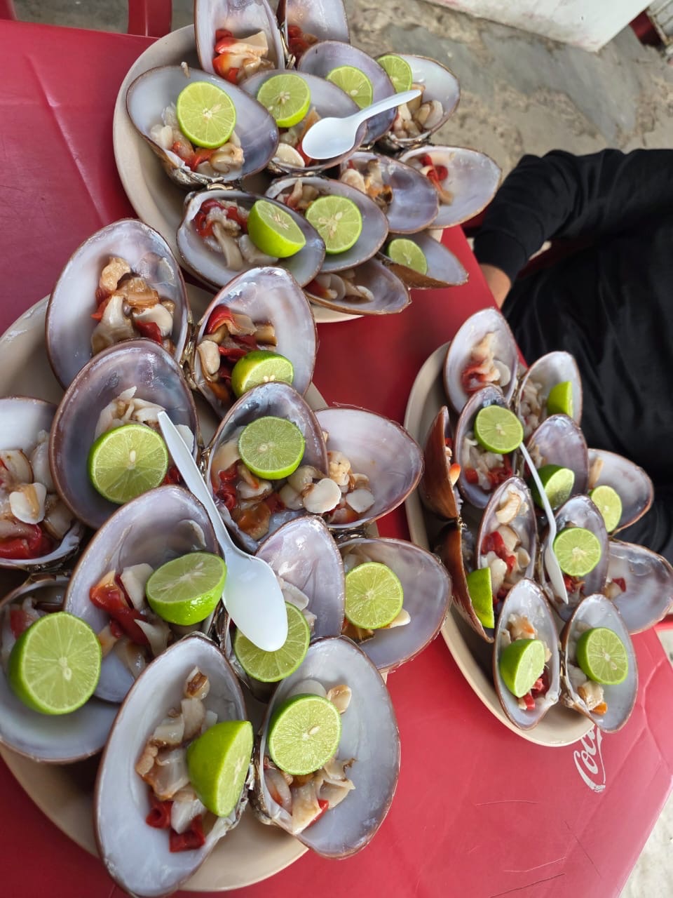 Aplicarán vedas a almeja catarina, lisa y liseta en ocho estados a partir de diciembre:&nbsp;Conapesca