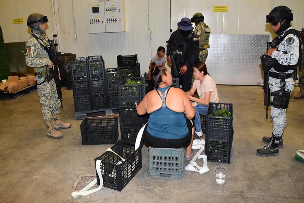 AUTORIDADES FEDERALES Y ESTATALES DETIENEN EN MICHOACÁN A CUATRO&nbsp;PERSONAS