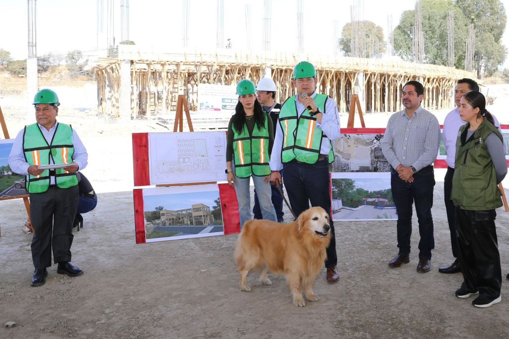 Avanza construcción de Centro de Bienestar Animal; dignificará atención de seres&nbsp;sintientes