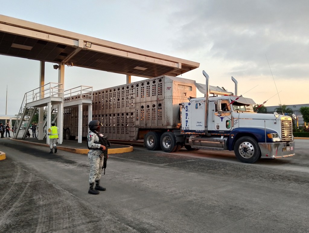 Amplía AGRICULTURA acciones para controlar la movilización de ganado y contener el gusano&nbsp;barrenador