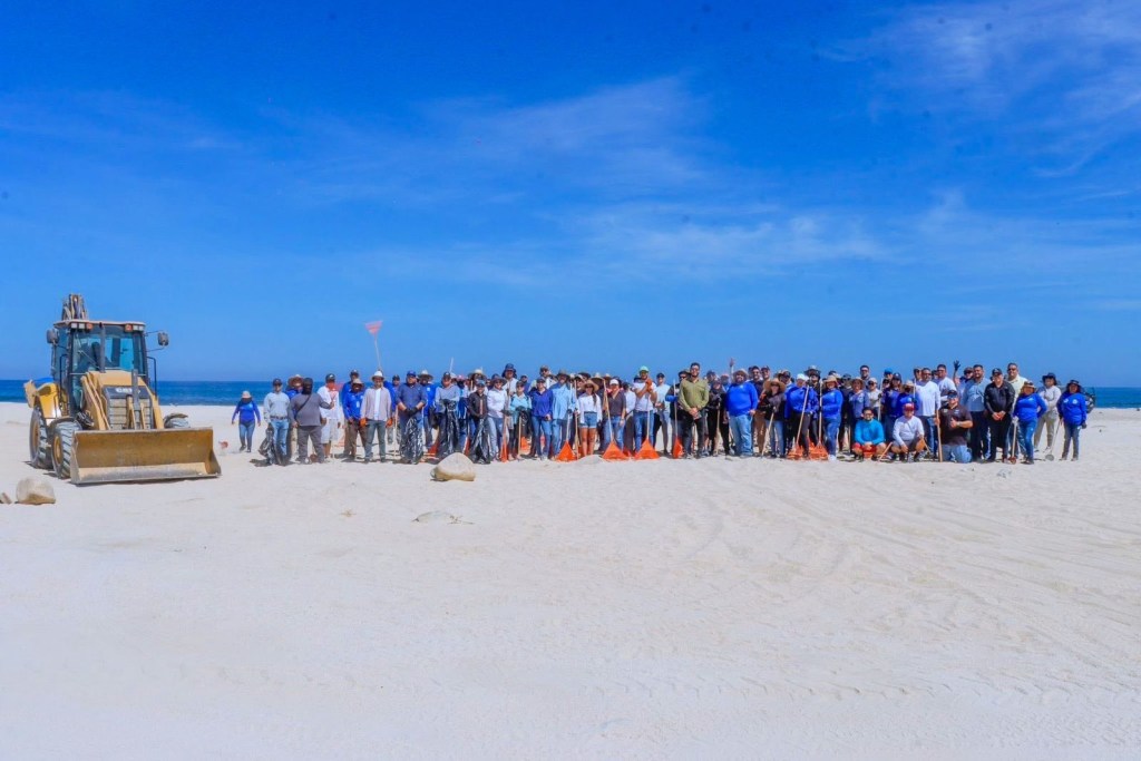 Durante el 2025&nbsp;Los Cabos&nbsp;se consolidó&nbsp;como líder nacional en certificación y manejo de playas limpias:&nbsp;ZOFEMAT