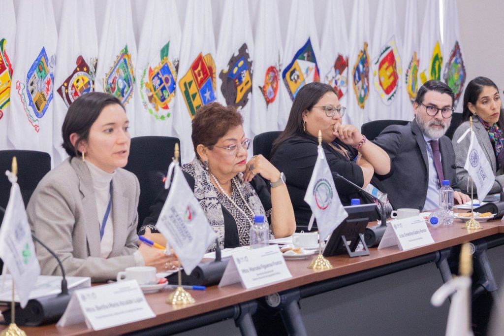 Impulsar que fiscalías especializadas en delitos de género cuenten con estándares&nbsp;homogéneos.