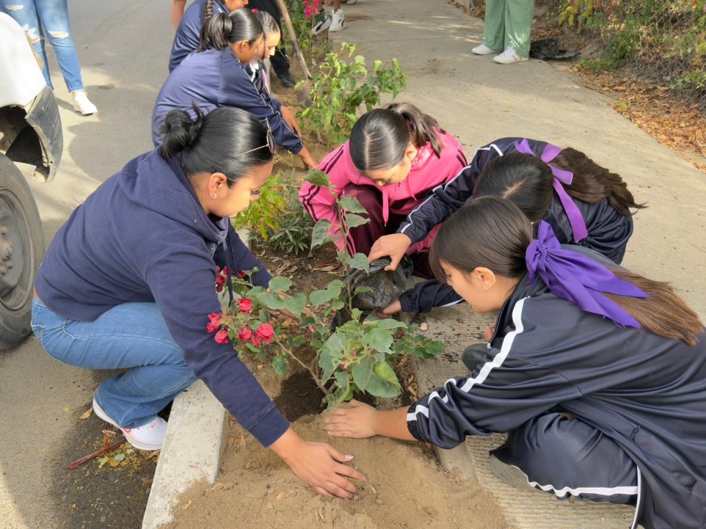 Jornada de Reforestación en Miraflores fortalece la participación comunitaria y el cuidado del medio&nbsp;ambiente