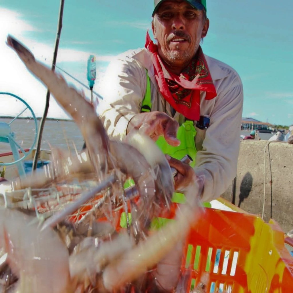 Trabajo interinstitucional con representantes del sector acuícola de camarón
