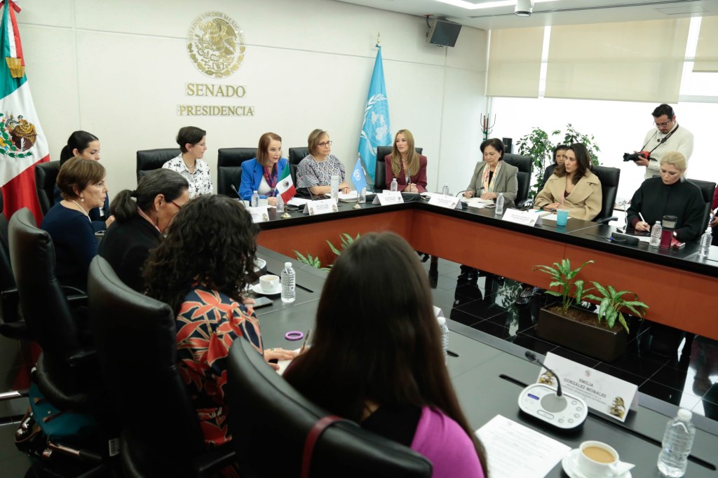 Comisión para la Igualdad de Género se reúne con la Relatora Especial de la ONU, Reem Alsalem