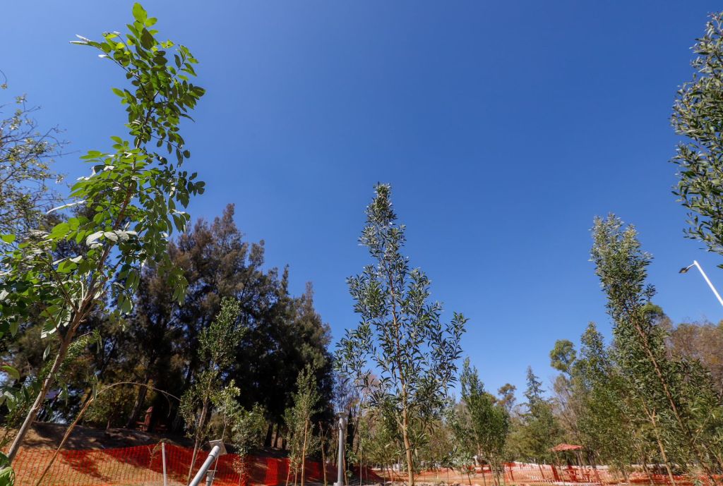 INVITA EL GOBERNADOR ARMENTA MIER A AMBIENTALISTAS A SUMARSE AL CUIDADO DE LOS BOSQUES POBLANOS