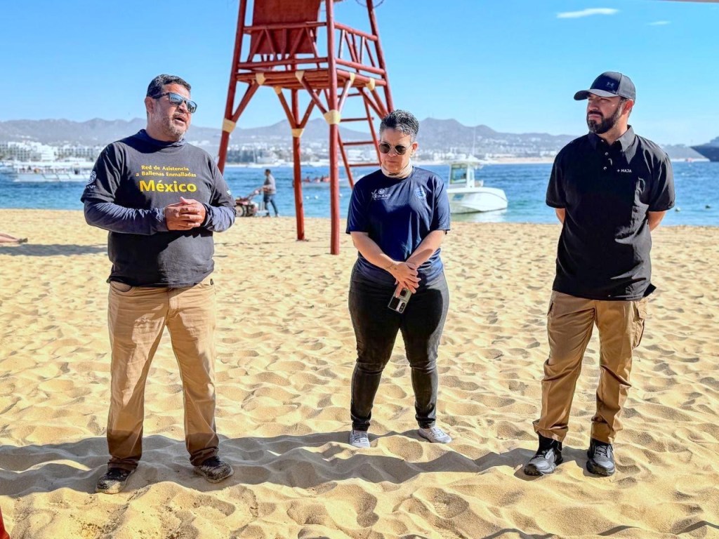 Realizan simulacro de atención a ballenas enmalladas en playa El Corsario